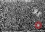 Standbild Ptarmigan Alaska USA, 1929, aus Sekunde 21 historischem Filmmaterial Videoclip 65675051272