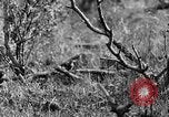 Standbild Ptarmigan Alaska USA, 1929, aus Sekunde 22 historischem Filmmaterial Videoclip 65675051272