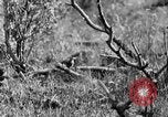 Standbild Ptarmigan Alaska USA, 1929, aus Sekunde 24 historischem Filmmaterial Videoclip 65675051272