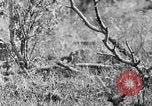 Standbild Ptarmigan Alaska USA, 1929, aus Sekunde 30 historischem Filmmaterial Videoclip 65675051272