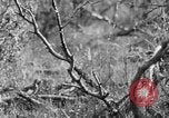 Standbild Ptarmigan Alaska USA, 1929, aus Sekunde 34 historischem Filmmaterial Videoclip 65675051272