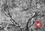 Standbild Ptarmigan Alaska USA, 1929, aus Sekunde 36 historischem Filmmaterial Videoclip 65675051272