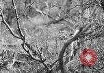 Standbild Ptarmigan Alaska USA, 1929, aus Sekunde 37 historischem Filmmaterial Videoclip 65675051272