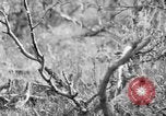 Standbild Ptarmigan Alaska USA, 1929, aus Sekunde 40 historischem Filmmaterial Videoclip 65675051272