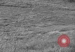 Image of Wild Fox Alaska USA, 1929, second 11 stock footage video 65675051273