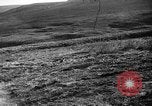 Image of Wild Fox Alaska USA, 1929, second 18 stock footage video 65675051273
