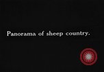 Image of Dall mountain sheep Alaska USA, 1929, second 1 stock footage video 65675051274