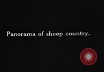 Image of Dall mountain sheep Alaska USA, 1929, second 5 stock footage video 65675051274