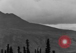 Image of Dall mountain sheep Alaska USA, 1929, second 9 stock footage video 65675051274