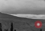 Image of Dall mountain sheep Alaska USA, 1929, second 10 stock footage video 65675051274