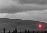 Image of Dall mountain sheep Alaska USA, 1929, second 12 stock footage video 65675051274