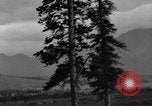 Image of Dall mountain sheep Alaska USA, 1929, second 16 stock footage video 65675051274