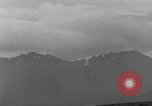 Image of Dall mountain sheep Alaska USA, 1929, second 20 stock footage video 65675051274
