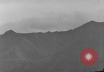 Image of Dall mountain sheep Alaska USA, 1929, second 24 stock footage video 65675051274