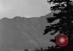 Image of Dall mountain sheep Alaska USA, 1929, second 26 stock footage video 65675051274