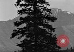 Image of Dall mountain sheep Alaska USA, 1929, second 27 stock footage video 65675051274