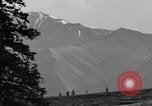 Image of Dall mountain sheep Alaska USA, 1929, second 28 stock footage video 65675051274