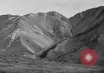 Image of Dall mountain sheep Alaska USA, 1929, second 38 stock footage video 65675051274