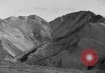 Image of Dall mountain sheep Alaska USA, 1929, second 40 stock footage video 65675051274