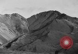 Image of Dall mountain sheep Alaska USA, 1929, second 41 stock footage video 65675051274