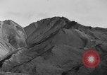 Image of Dall mountain sheep Alaska USA, 1929, second 42 stock footage video 65675051274