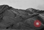 Image of Dall mountain sheep Alaska USA, 1929, second 45 stock footage video 65675051274