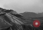 Image of Dall mountain sheep Alaska USA, 1929, second 51 stock footage video 65675051274