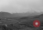 Image of Dall mountain sheep Alaska USA, 1929, second 56 stock footage video 65675051274