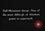 Image of Dall mountain sheep Alaska USA, 1929, second 57 stock footage video 65675051274