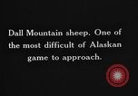 Image of Dall mountain sheep Alaska USA, 1929, second 58 stock footage video 65675051274