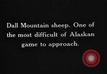 Image of Dall mountain sheep Alaska USA, 1929, second 59 stock footage video 65675051274