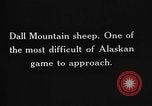 Image of Dall mountain sheep Alaska USA, 1929, second 61 stock footage video 65675051274
