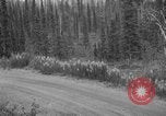 Image of McKinley Park Alaska United States USA, 1925, second 25 stock footage video 65675051277