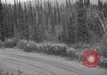 Image of McKinley Park Alaska United States USA, 1925, second 29 stock footage video 65675051277