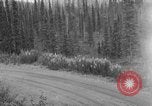 Image of McKinley Park Alaska United States USA, 1925, second 30 stock footage video 65675051277