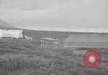 Image of Savage river Alaska United States USA, 1925, second 26 stock footage video 65675051278