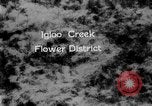 Image of igloo creek Alaska United States USA, 1925, second 1 stock footage video 65675051279