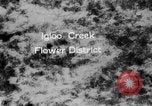 Image of igloo creek Alaska United States USA, 1925, second 3 stock footage video 65675051279