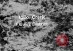 Image of igloo creek Alaska United States USA, 1925, second 4 stock footage video 65675051279
