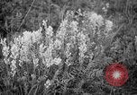 Image of igloo creek Alaska United States USA, 1925, second 8 stock footage video 65675051279