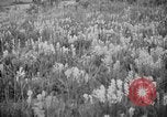 Image of igloo creek Alaska United States USA, 1925, second 15 stock footage video 65675051279