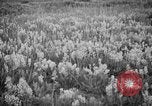 Image of igloo creek Alaska United States USA, 1925, second 26 stock footage video 65675051279