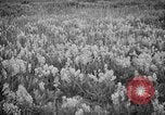 Image of igloo creek Alaska United States USA, 1925, second 27 stock footage video 65675051279