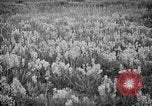 Image of igloo creek Alaska United States USA, 1925, second 28 stock footage video 65675051279