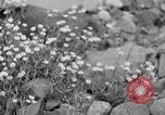 Image of igloo creek Alaska United States USA, 1925, second 38 stock footage video 65675051279