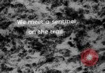 Image of igloo creek Alaska United States USA, 1925, second 43 stock footage video 65675051279