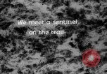 Image of igloo creek Alaska United States USA, 1925, second 45 stock footage video 65675051279