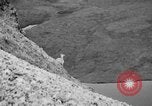 Image of igloo creek Alaska United States USA, 1925, second 48 stock footage video 65675051279