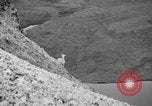 Image of igloo creek Alaska United States USA, 1925, second 49 stock footage video 65675051279