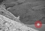 Image of igloo creek Alaska United States USA, 1925, second 50 stock footage video 65675051279
